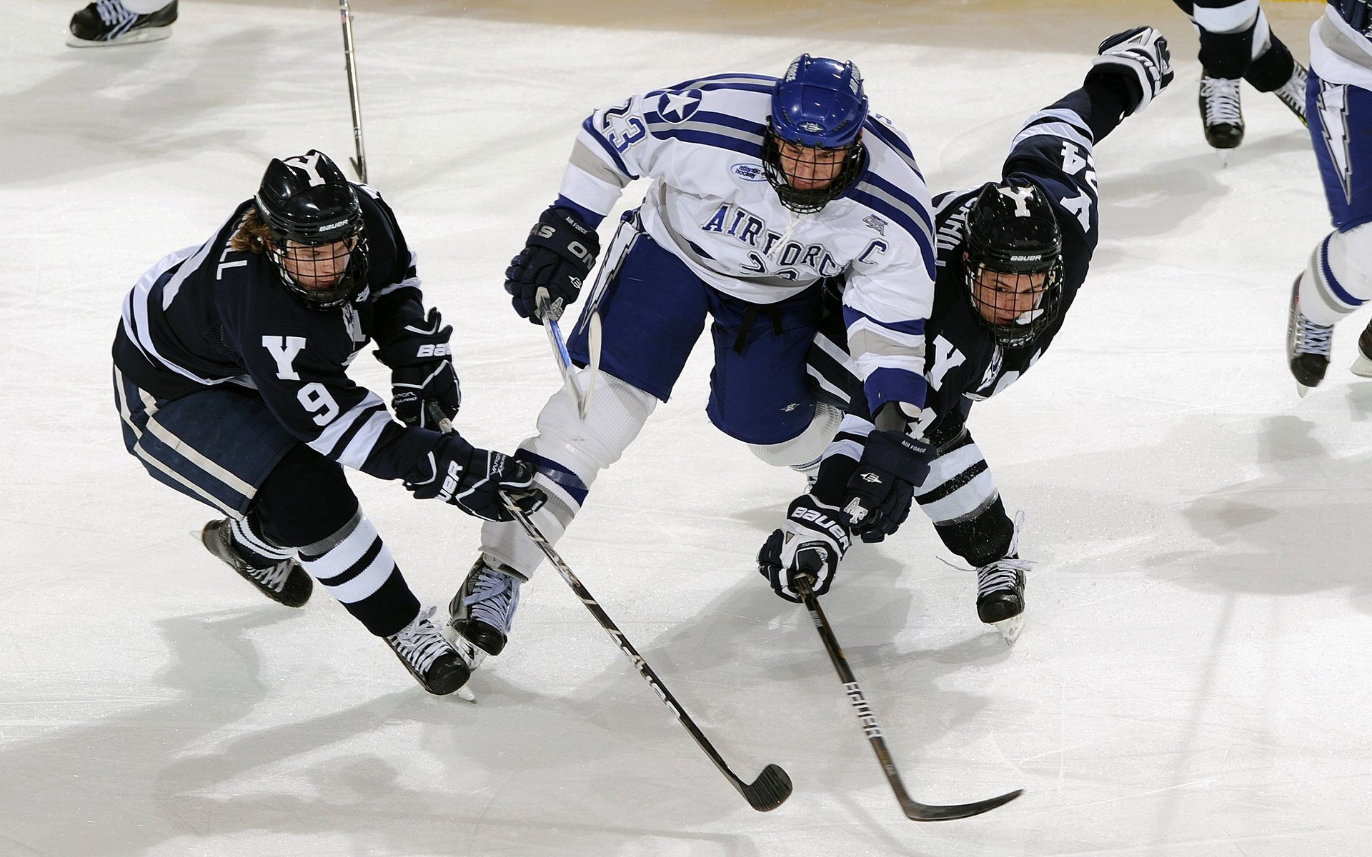 WTT德国冠军赛:女单签位公布!日本包揽前4号种子,首轮迎战强敌
